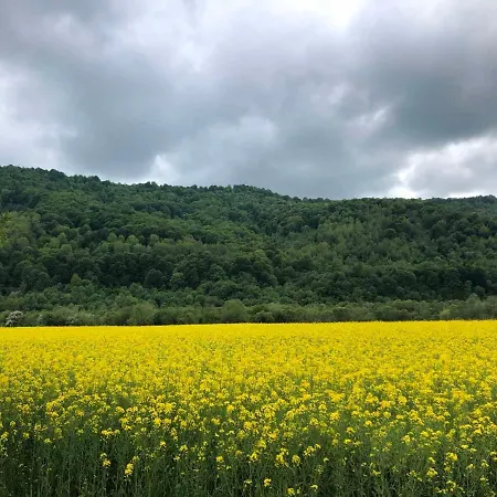 олівія Апартаменты