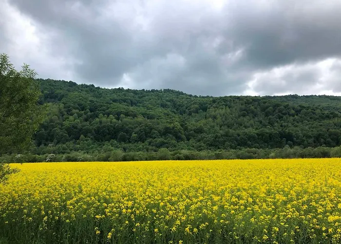 олівія Апартаменты