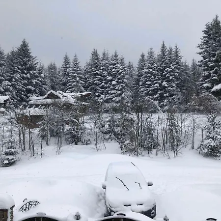 олівія Lejlighed Skhidnytsia