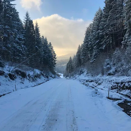 Lejlighed олівія Skhidnytsia