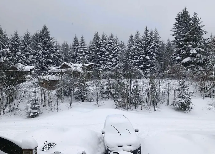 олівія Daire Skhidnytsia